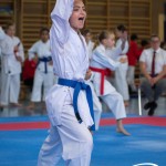 Wiener Karate Meisterschaft 2025