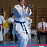Wiener Karate Meisterschaft 2025