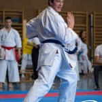 Wiener Karate Meisterschaft 2025