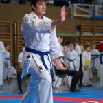 Wiener Karate Meisterschaft 2025