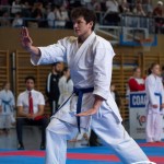 Wiener Karate Meisterschaft 2025