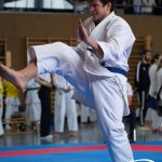 Wiener Karate Meisterschaft 2025