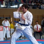 Wiener Karate Meisterschaft 2025