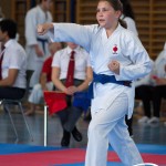 Wiener Karate Meisterschaft 2025