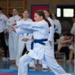 Wiener Karate Meisterschaft 2025