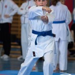 Wiener Karate Meisterschaft 2025