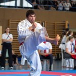 Wiener Karate Meisterschaft 2025