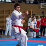 Wiener Karate Meisterschaft 2025