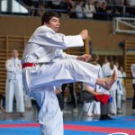 Wiener Karate Meisterschaft 2025
