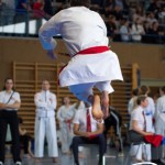 Wiener Karate Meisterschaft 2025