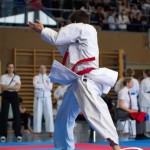 Wiener Karate Meisterschaft 2025