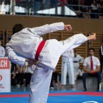 Wiener Karate Meisterschaft 2025