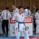 Wiener Karate Meisterschaft 2025