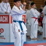 Wiener Karate Meisterschaft 2025