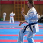 Wiener Karate Meisterschaft 2025