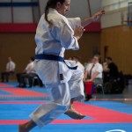 Wiener Karate Meisterschaft 2025