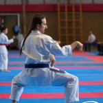Wiener Karate Meisterschaft 2025