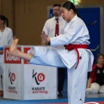 Wiener Karate Meisterschaft 2025