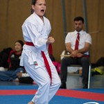 Wiener Karate Meisterschaft 2025