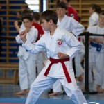 Wiener Karate Meisterschaft 2025