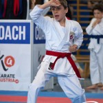 Wiener Karate Meisterschaft 2025