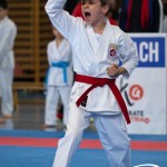 Wiener Karate Meisterschaft 2025