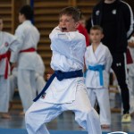 Wiener Karate Meisterschaft 2025