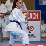 Wiener Karate Meisterschaft 2025