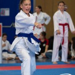 Wiener Karate Meisterschaft 2025