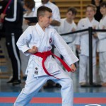 Wiener Karate Meisterschaft 2025