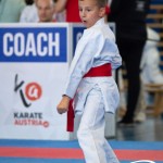 Wiener Karate Meisterschaft 2025