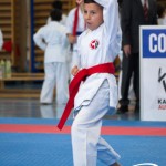 Wiener Karate Meisterschaft 2025