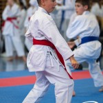 Wiener Karate Meisterschaft 2025