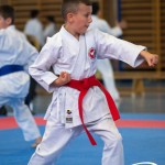 Wiener Karate Meisterschaft 2025