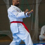 Wiener Karate Meisterschaft 2025
