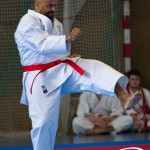 Wiener Karate Meisterschaft 2025