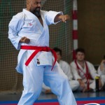Wiener Karate Meisterschaft 2025