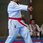 Wiener Karate Meisterschaft 2025