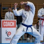 Wiener Karate Meisterschaft 2025