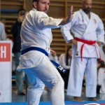 Wiener Karate Meisterschaft 2025