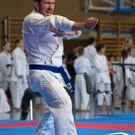 Wiener Karate Meisterschaft 2025