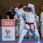 Wiener Karate Meisterschaft 2025