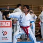 Wiener Karate Meisterschaft 2025