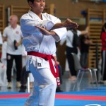 Wiener Karate Meisterschaft 2025