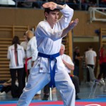 Wiener Karate Meisterschaft 2025