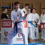 Wiener Karate Meisterschaft 2025