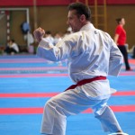Wiener Karate Meisterschaft 2025