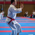 Wiener Karate Meisterschaft 2025