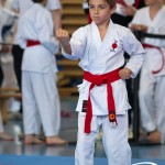 Wiener Karate Meisterschaft 2025