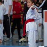 Wiener Karate Meisterschaft 2025